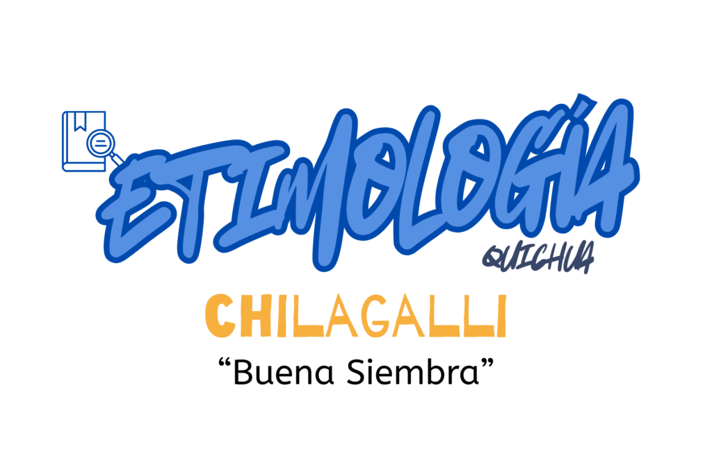 irse a volver web (10)