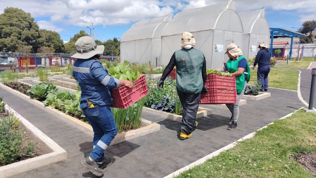 ECO-CEGAM Quitumbe: un pulmón verde y aula viva para el barrio 520035027 18110271415510458 8578369365802834956 n