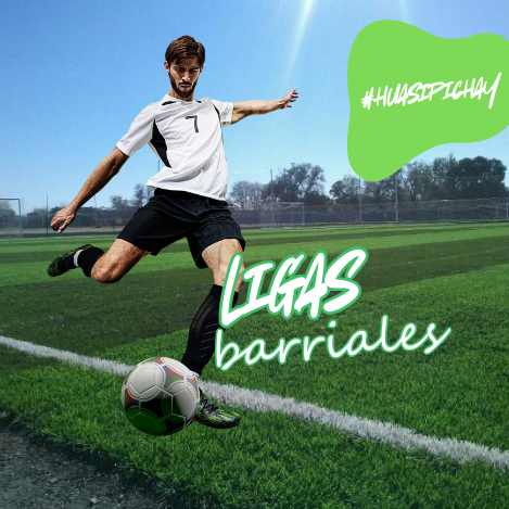 irse a volver web (21)