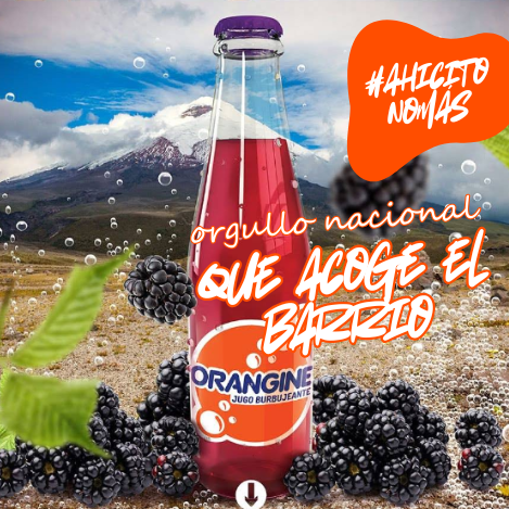 Orangine: la bebida que burbujea historia en Ecuador irse a volver web (22)