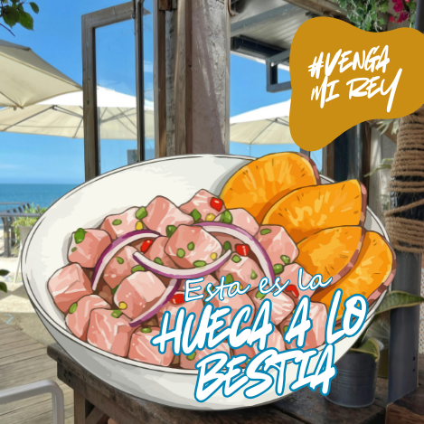 irse a volver web (23)