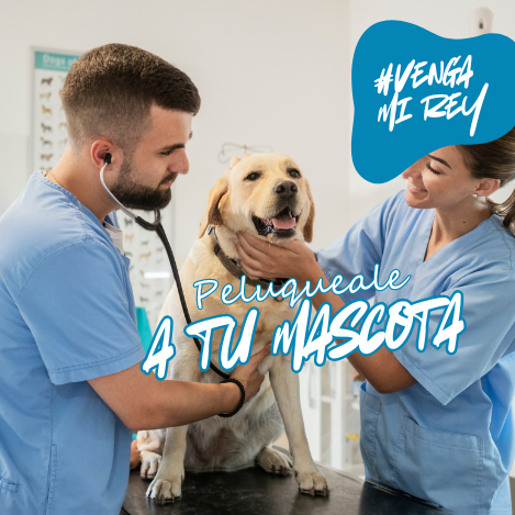 irse a volver web (28)