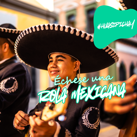 irse a volver web (30)