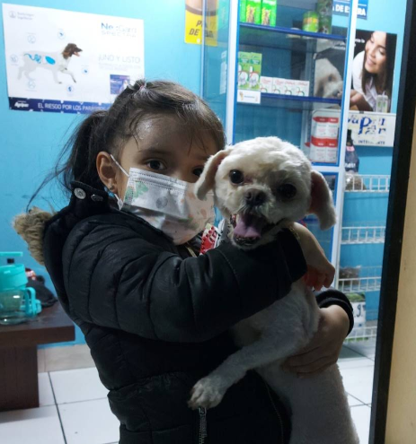 screenshot 2026 01 17 134251