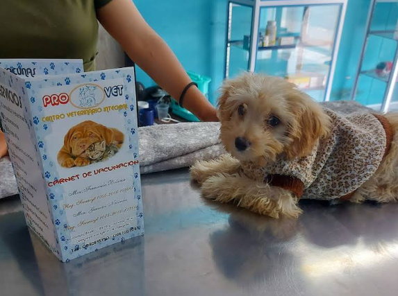 screenshot 2026 01 17 134354