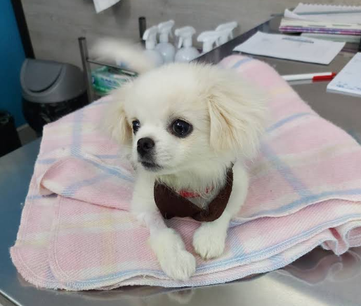 screenshot 2026 01 17 134859