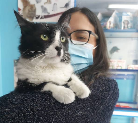 screenshot 2026 01 17 134911