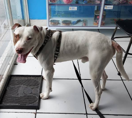 screenshot 2026 01 17 134923