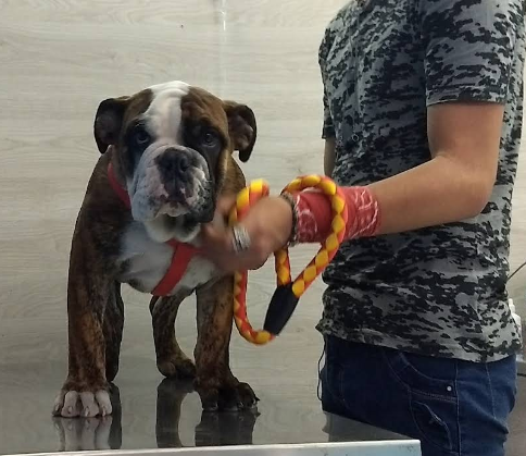 screenshot 2026 01 17 134952